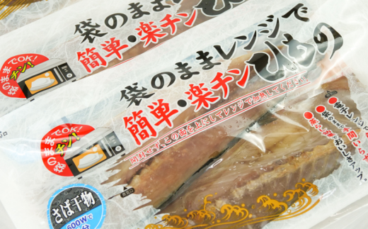 魚 干物 詰め合わせ セット 10枚 簡単 レンジ お手軽 ひもの あじ 縞ほっけ さば フィーレ さば味醂 さけ 本場 加工品 静岡県 沼津市