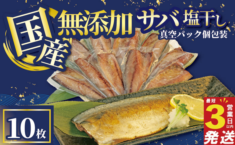 さば 干物 10枚 国産 無添加 サバ 塩干し 真空パック 個包装 焼くだけ 簡単調理 3営業日 以内 スピード発送 鯖 ギフト 贈答用 ひもの 惣菜 おかず 静岡 沼津