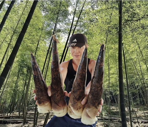 0010-69-06 繧ソ繧ア繝弱さ邇九ョ髱呈棡繝上メ繧ッ蜿翫ウ繝槭ム繧ア 邏3kg 鬚ィ蟯。縺溘¢縺ョ縺灘恍 縲5譛井サ・髯埼谺。逋コ騾∽コ亥ョ壹