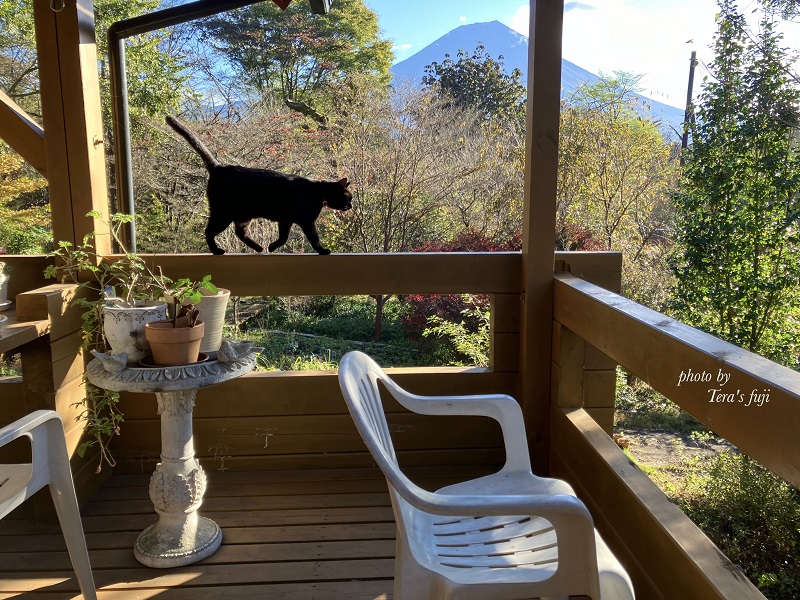 0026-102-01 ã¯ãã¢ãž ããŒããŠã©ãŒã¿ãŒ 100mlÃ2æ¬ TERA'S FUJI ãã©ã¹ããž