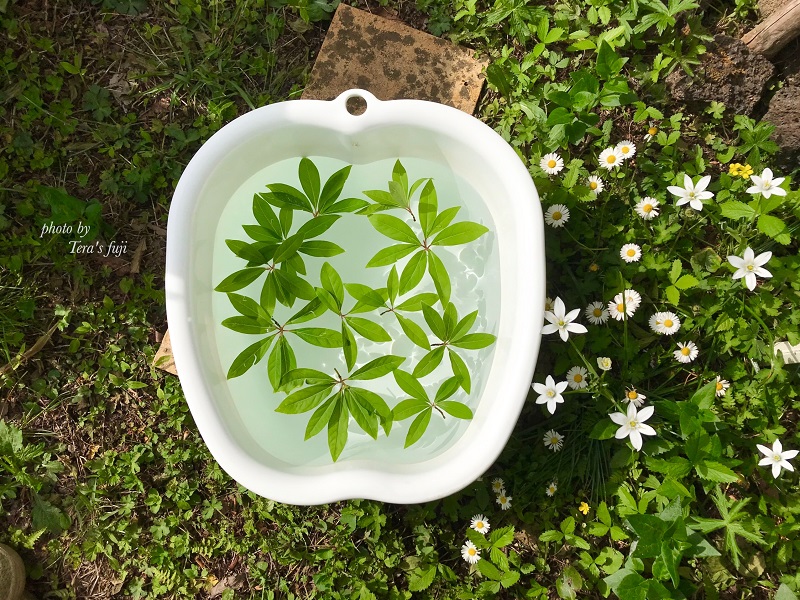 0047-102-01 ã女æ§éå®ãå¯å£«å±±ã®éºã§åµãããæ€ç©çæ³ããªãŒãã¡ã³ã 130åã³ãŒã¹ TERA'S FUJI ãã©ã¹ããž