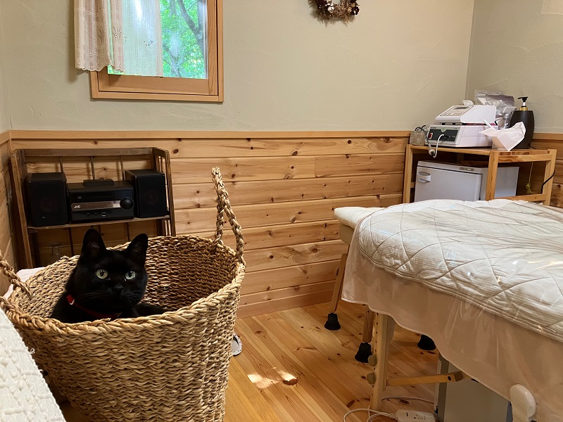 0047-102-01 ã女æ§éå®ãå¯å£«å±±ã®éºã§åµãããæ€ç©çæ³ããªãŒãã¡ã³ã 130åã³ãŒã¹ TERA'S FUJI ãã©ã¹ããž