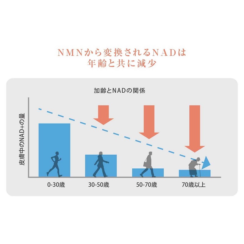 0090-105-01 NMN ãµããªã¡ã³ã 20000mg æ¥æ¬è£œ åœå
補é GABA ãã¿ã³ããŠã㊠5-ALA æ žé
ž ãã¿ãã³E ãã¿ãã³C ã¯ãšã³é
ž é Na èé
ž daina NMN+ 90ç² 30æ¥ 3æ¬