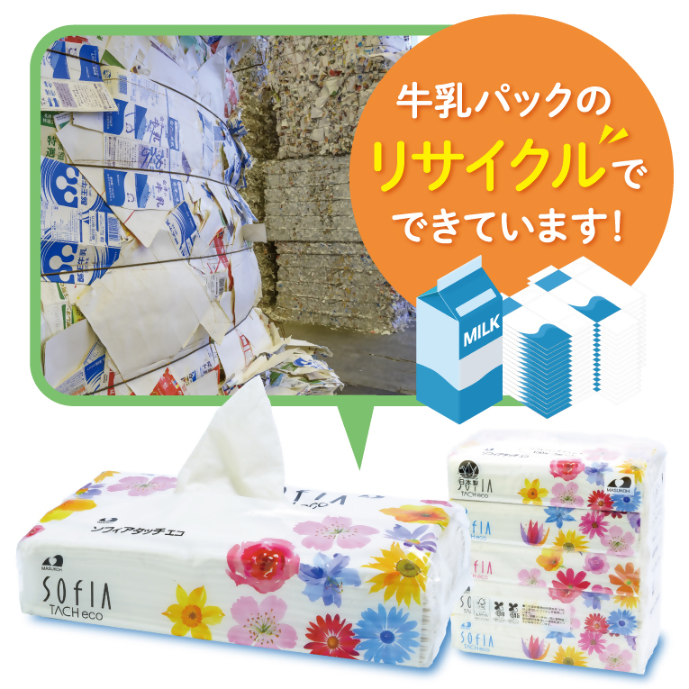0016-107-01 マスコー製紙 ソフィアタッチエコ ティッシュペーパー 150組×5個×20パック (100個)