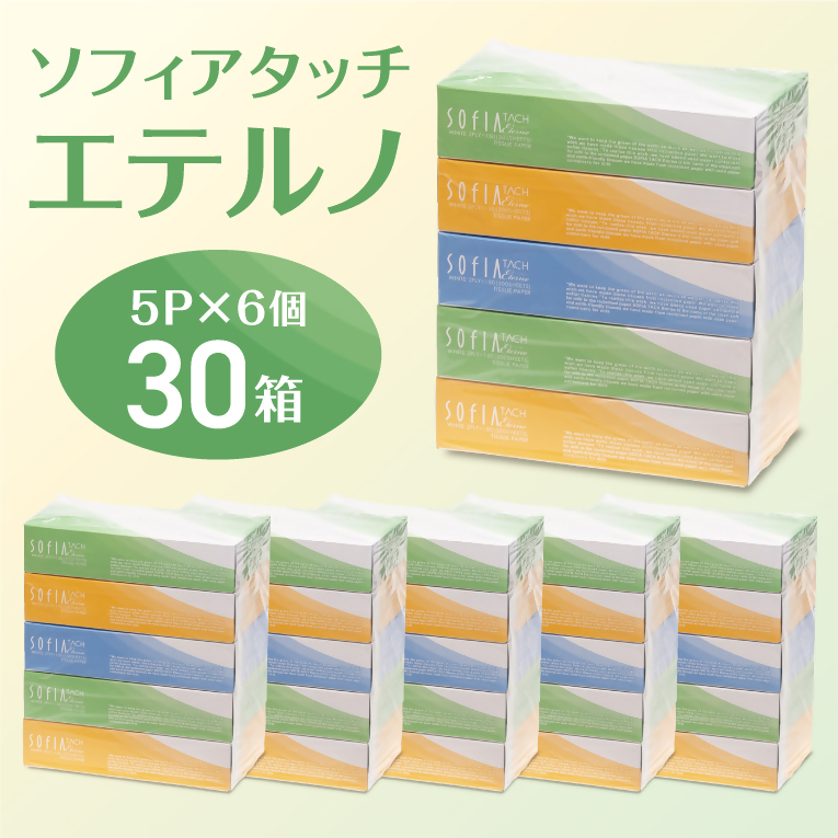 0007-107-01 マスコー製紙 ソフィアタッチ エテルノ ティッシュペーパー 150組×5箱×6パック (30箱)
