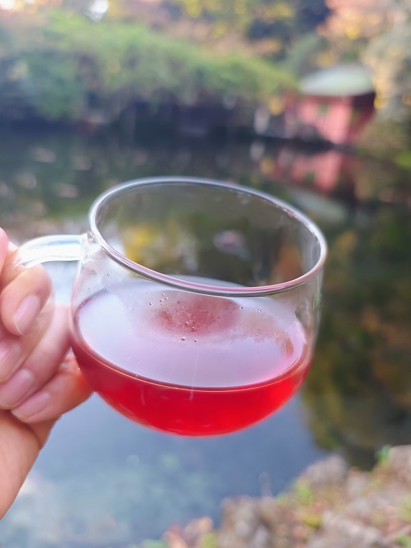 0006-109-01 å¯å£«å®®ãã¬ã³ãããŒããã£ãŒ æšè±å²è¶å§« ãã£ãŒããã°10åã»ãã