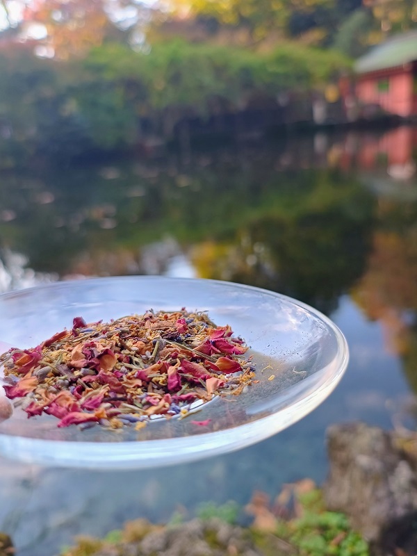 0006-109-01 å¯å£«å®®ãã¬ã³ãããŒããã£ãŒ æšè±å²è¶å§« ãã£ãŒããã°10åã»ãã