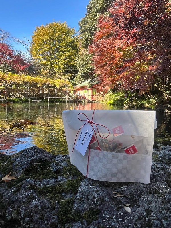 0006-109-01 å¯å£«å®®ãã¬ã³ãããŒããã£ãŒ æšè±å²è¶å§« ãã£ãŒããã°10åã»ãã