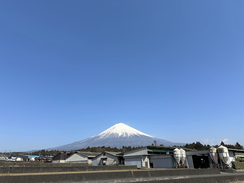 0010-110-01 å¯å£«å±±ç«¹å·ç ãµãŒãã€ã³ã¹ããŒã 165gÃ1æ