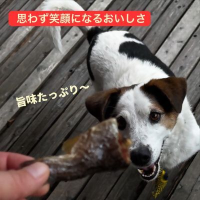 0006-111-01 WILD KITCHEN 犬猫用ニジマスジャーキー 丸ごと1本