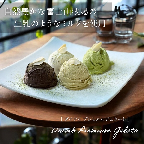 0017-95-01 Diamb Premium Gelato (ダイアムプレミアムジェラート) 100ml×10個 【10種の味】