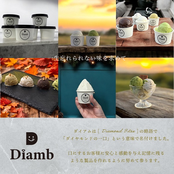 0017-95-01 Diamb Premium Gelato (ダイアムプレミアムジェラート) 100ml×10個 【10種の味】