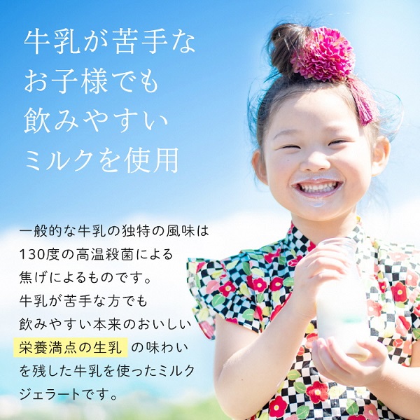 0017-95-01 Diamb Premium Gelato (ダイアムプレミアムジェラート) 100ml×10個 【10種の味】