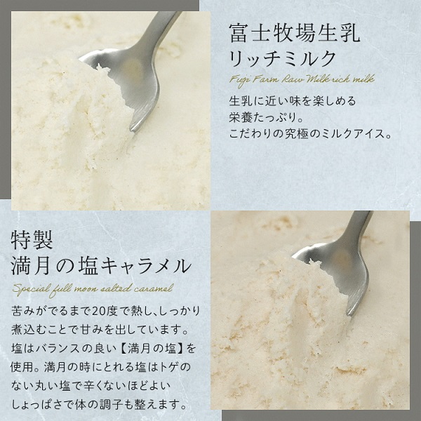 0017-95-01 Diamb Premium Gelato (ダイアムプレミアムジェラート) 100ml×10個 【10種の味】