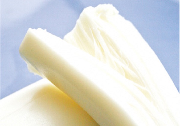 0019-06-01 ãã§ãŒã COW RESORT IDEBOK ææŸãããŠã®ç乳䜿çšïŒ ããŒãºäœãäœéš ã2åæ§ã