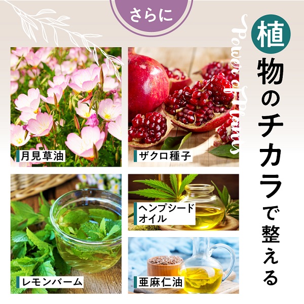 0011-101-03 ILUS 繝ォ繝翫ワ繝シ繝 3陲 (3繝カ譛)