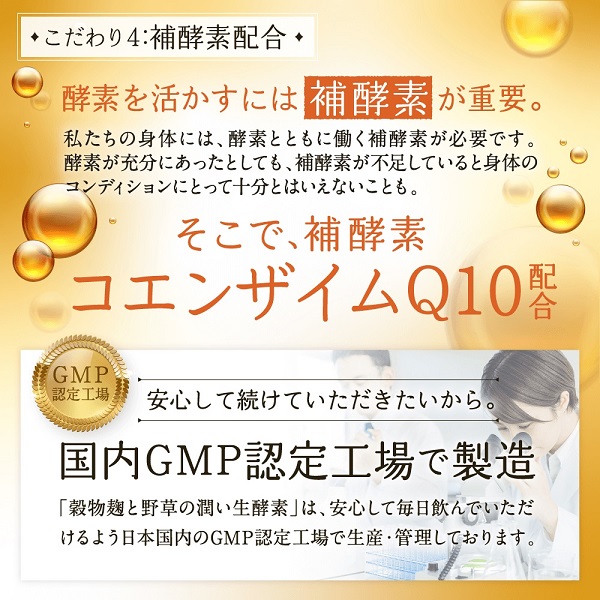0011-101-02 酵素サプリメント 穀物麹と野草のうるおい生酵素 3袋 (3ヶ月)