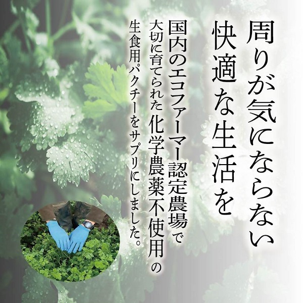 0011-99-02 ãã¯ããŒãšããžãŒãŽãŒã«ã 60ç²Ã1è¢ (20æ¥å)