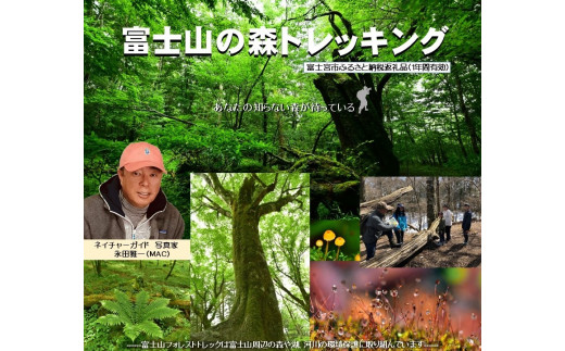 0027-48-01. 富士山の森トレッキング　親子ペアコース（大人１名・小中学生１名）　自然体験・エコツアー