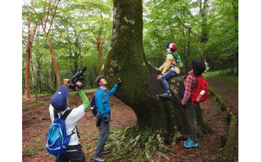 0027-48-01. 富士山の森トレッキング　親子ペアコース（大人１名・小中学生１名）　自然体験・エコツアー