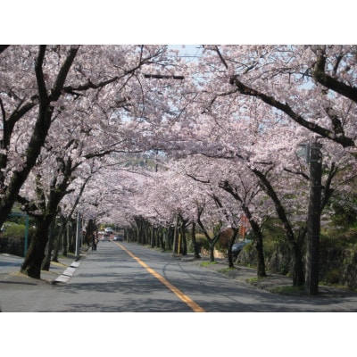 旅する伊豆高原応援パス 2,000円チケット 3枚セット【1733335】