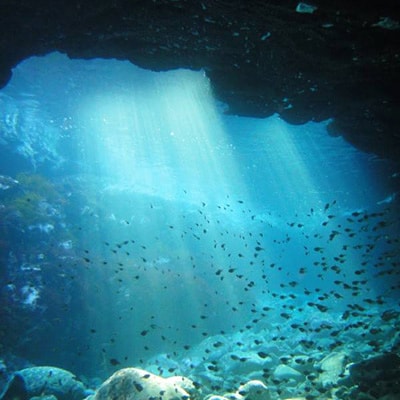 ãã²ãšãã»æ¥åž°ãã§OK! äŒæ±ã»åã¶åŽã®æµ·ã§1æ¥äœéšãã€ãã³ã°ã1055061ã