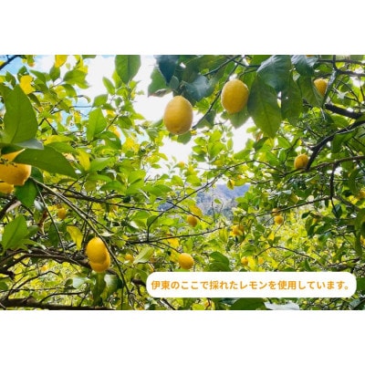 伊豆産レモンのドライフルーツのハチミツ漬け【1677017】