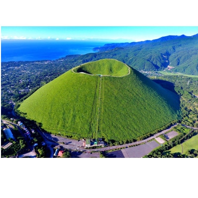 旅する伊豆高原応援パス 2,000円チケット 2枚セット【1734377】