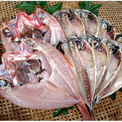 天日干しひもの詰合せ【配送不可地域：離島】【1125488】