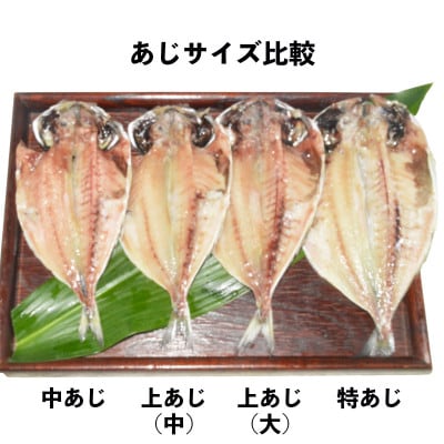 干物セット【上あじ16枚セット】　伊豆・伊東のひもの詰め合わせ　静岡県伊東市【配送不可地域：離島】【1404230】