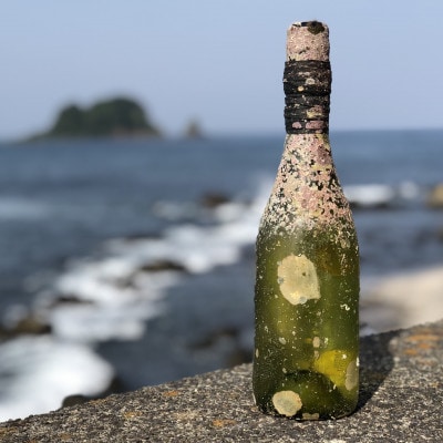 白ワイン潜酔酒(シャルドネ)【1380226】