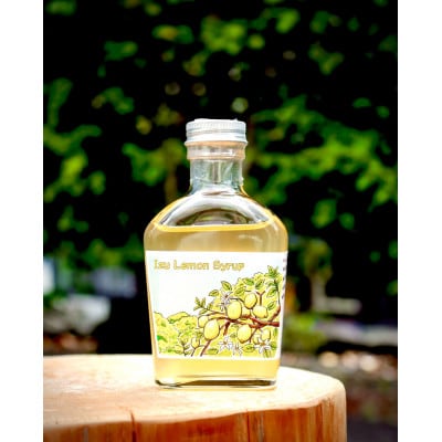 伊豆産ハチミツレモンシロップ【1693125】