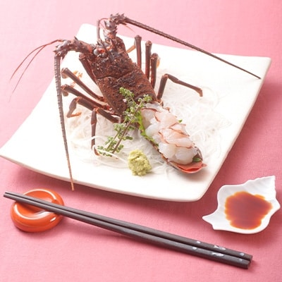 極冷伊勢海老約300g×2尾【配送不可地域：離島】【1108279】