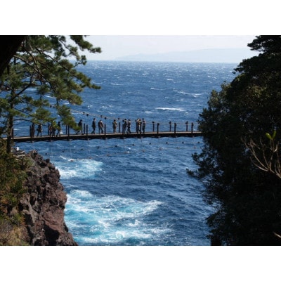 旅する伊豆高原応援パス 2,000円チケット 3枚セット【1733335】