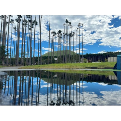 静岡県伊東市【奏の森リゾート】奏の森Resortsのバーベキューでも使える商品券15,000円分【1571045】