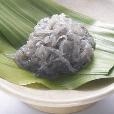 極冷生シラス　100g×6パック(簡易包装)【配送不可地域：離島】【1044366】