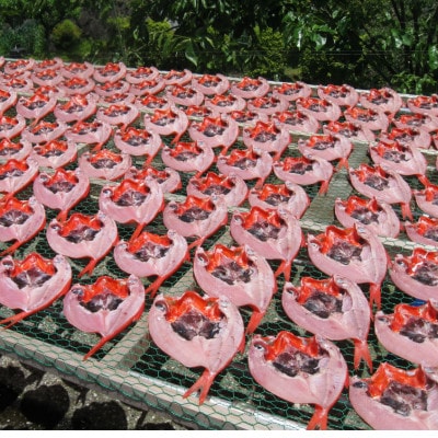 螟ゥ譌・蟷イ縺励イ繧ゅョ隧ー蜷医○縲宣埼∽ク榊庄蝨ー蝓滂シ夐屬蟲カ縲代1125488縲