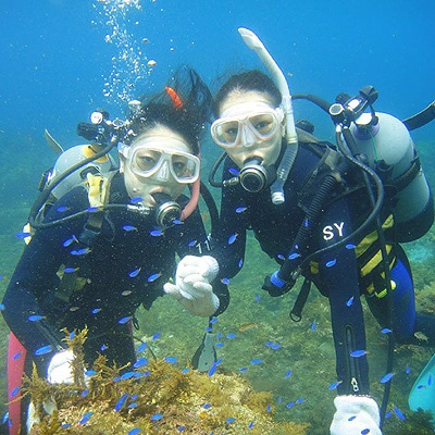 親子で、カップルで! ペアチケット〜伊東・城ヶ崎の海で1日体験ダイビング(水中記念写真プレゼント付)【1055063】