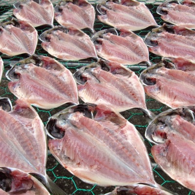 螟ゥ譌・蟷イ縺励イ繧ゅョ隧ー蜷医○縲宣埼∽ク榊庄蝨ー蝓滂シ夐屬蟲カ縲代1125488縲