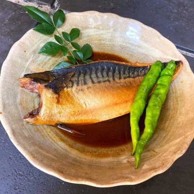 さば味噌煮 詰め合わせ【配送不可地域：離島】【1436165】