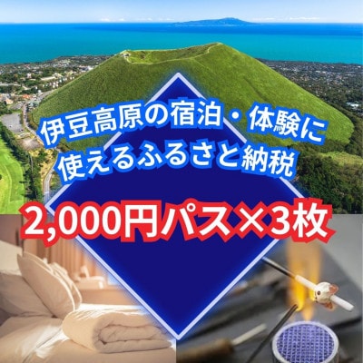 旅する伊豆高原応援パス 2,000円チケット 3枚セット【1733335】