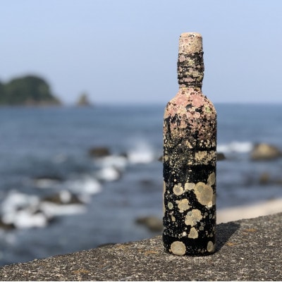 赤ワイン潜酔酒(カベルネソービニオン)【1380225】