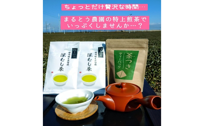 ちょっと贅沢♪ 特上深蒸し煎茶リーフと上煎茶ティーバッグ