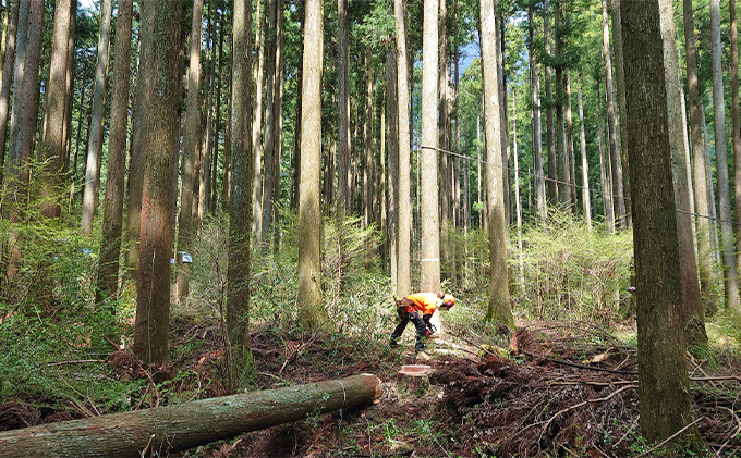 針葉樹 薪 15kg【配送不可：北海道・沖縄・離島】