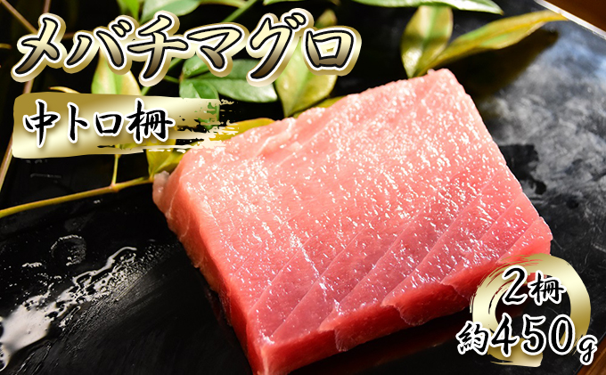 メバチマグロ 中トロ柵 2柵（約450g）【配送不可：離島】