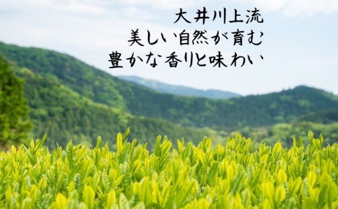 川根茶　上級煎茶あさぎり100g×5袋セット【静岡 緑茶 茶葉】