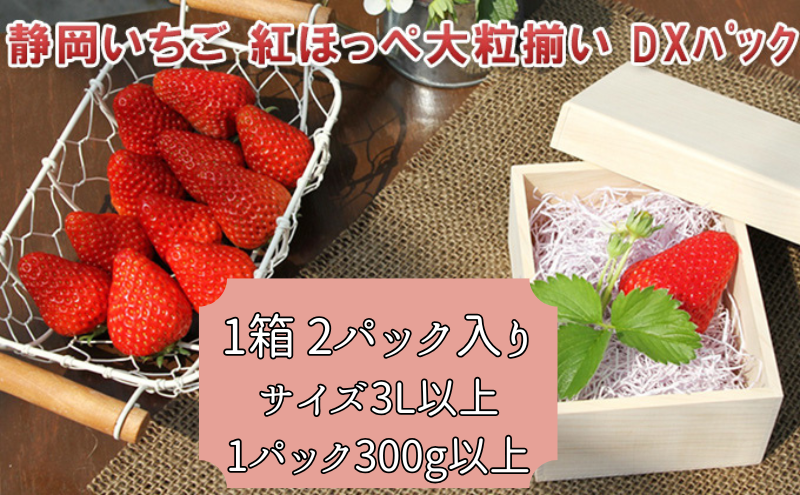いちご 紅ほっぺ 大粒揃い DXパック 1箱 2パック セット フルーツ 果物 くだもの イチゴ 苺 大粒 果実 旬の果物 旬のフルーツ 静岡 静岡県 島田市 【配送不可：離島】
