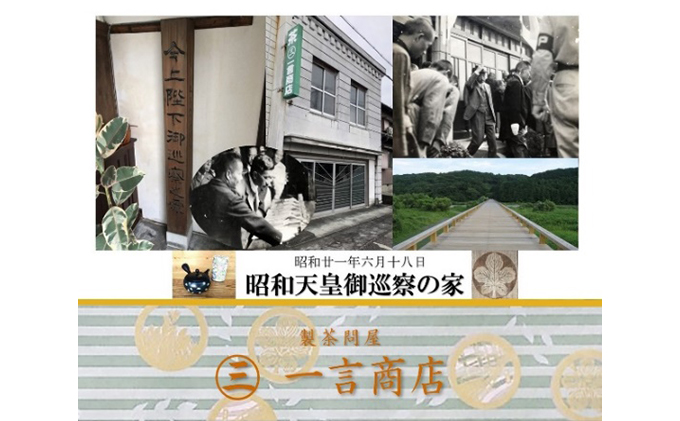 初物深蒸し水出ティーバッグ(5g×20個)×3袋 お茶 緑茶新茶 無垢 粉茶 煎茶 ブレンド ティーパック