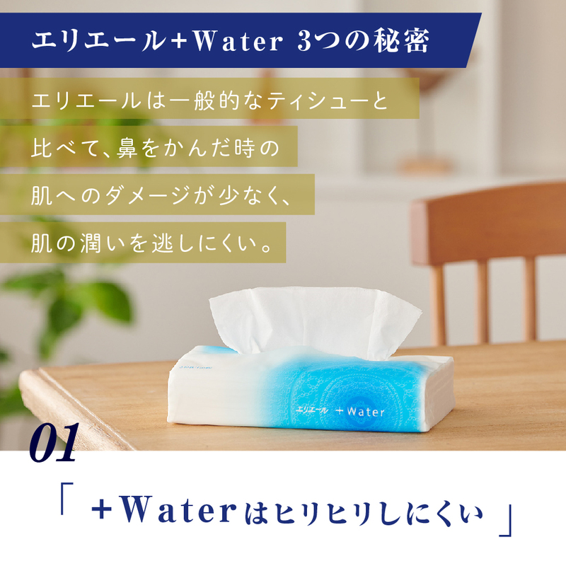 ティッシュ エリエール +Water プラスウォーター ソフトパック 120組 5パック 18個 セット ティッシュペーパー ティシュー ティシューペーパー 保湿 保湿ティッシュ 日用品 消耗品 静岡 静岡県 島田市