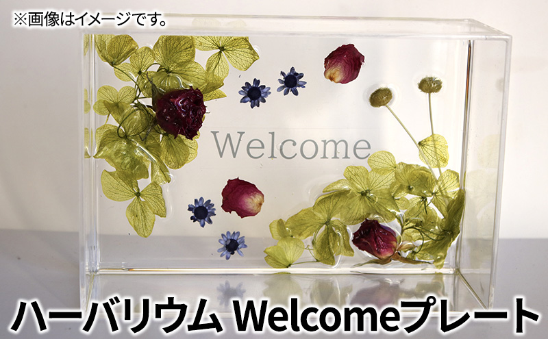 ハーバリウム Welcomeプレート　インテリア ハンドメイド 雑貨